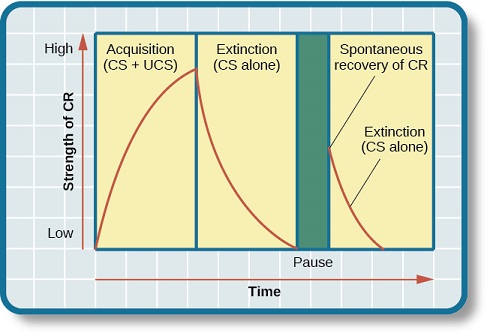 Picture of classical conditioning graph