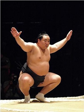 Picture of Sumo wrestler